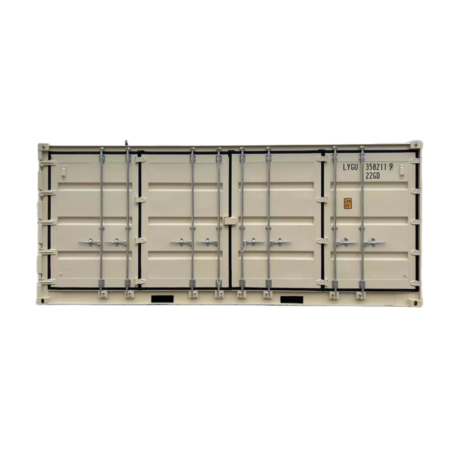 China 20DCSD LYGU NEW Standard Brand Shipping Container